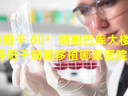 洛阳干 🪴 细胞巴库大楼 🐘 （洛阳干细胞移植哪家医院好）